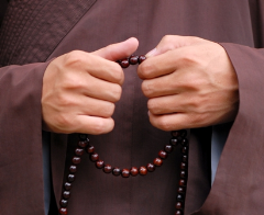 Tu Tịnh độ niệm Phật, niệm Pháp, niệm Tăng giống như kinh Nguyên thủy